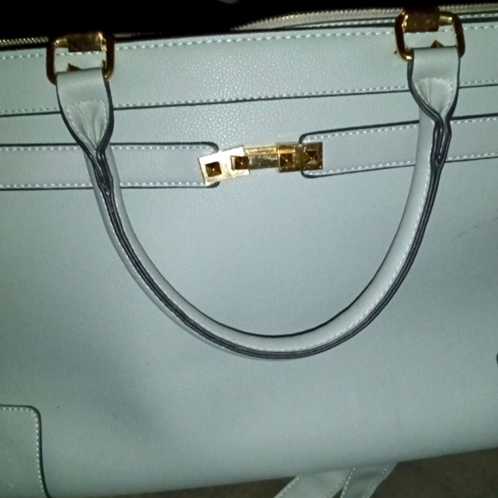 Pet carrier tote purse